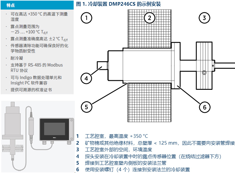 DMP6